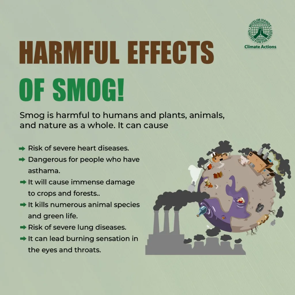 harmful effects of smog