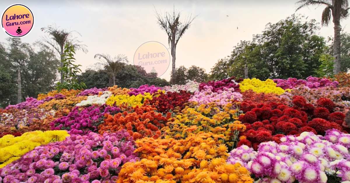 Flower exhibition at Jilani Park Lahore