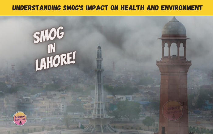 Smog in Lahore and its impact on health and environment